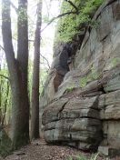 32.jpg - 2019:05:04 11:57:34