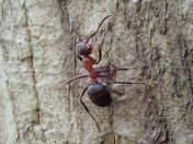 35.jpg - 2019:05:04 12:05:57