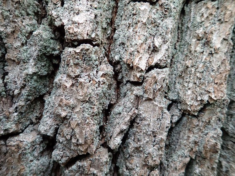 Viewing photos→2019→2019-05-04→36