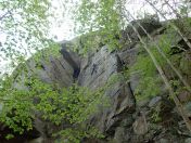 41.jpg - 2019:05:04 14:50:01