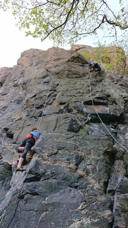 Viewing photos→2019→2019-05-04→53