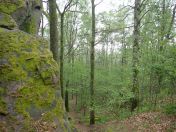 58.jpg - 2019:05:05 11:50:42