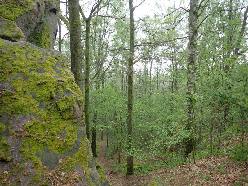 Viewing photos→2019→2019-05-04→58