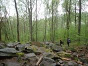 59.jpg - 2019:05:05 11:54:06