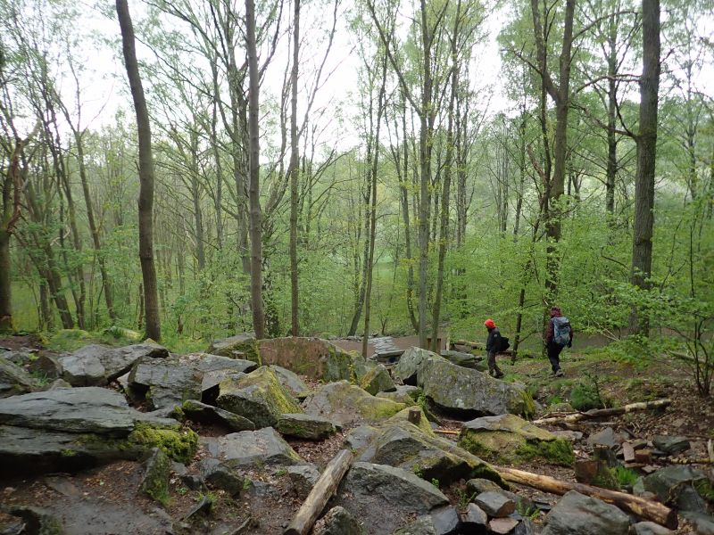 Viewing photos→2019→2019-05-04→59