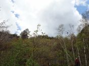 64.jpg - 2019:05:05 12:21:15