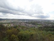 65.jpg - 2019:05:05 12:35:31