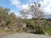 68.jpg - 2019:05:05 12:44:34