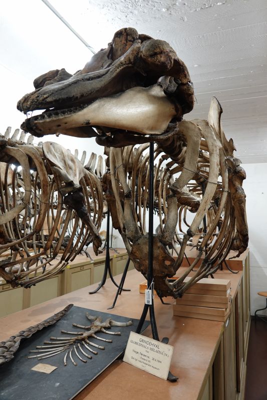 Viewing photos→2019→2019-05-16→12