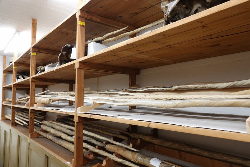 Viewing photos→2019→2019-05-16→13