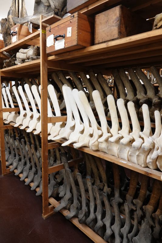 Viewing photos→2019→2019-05-16→14