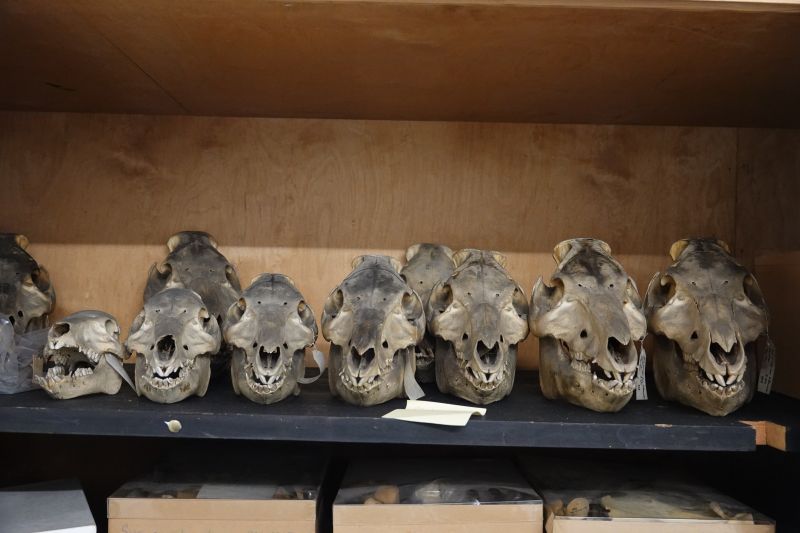 Viewing photos→2019→2019-05-16→22