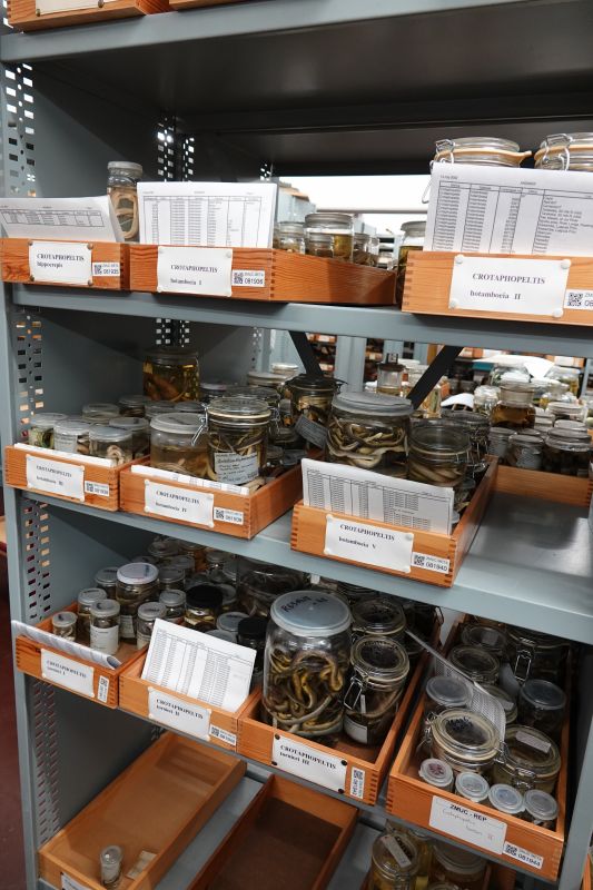 Viewing photos→2019→2019-05-16→28