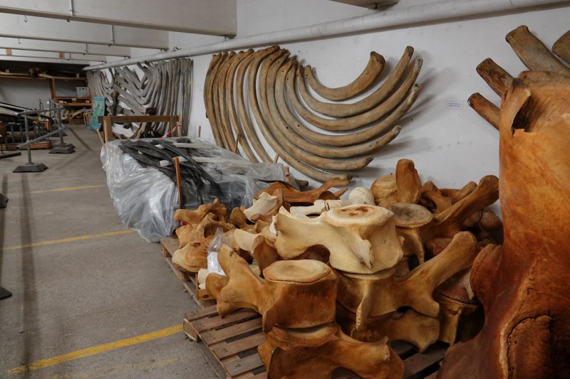 Viewing photos→2019→2019-05-16→31