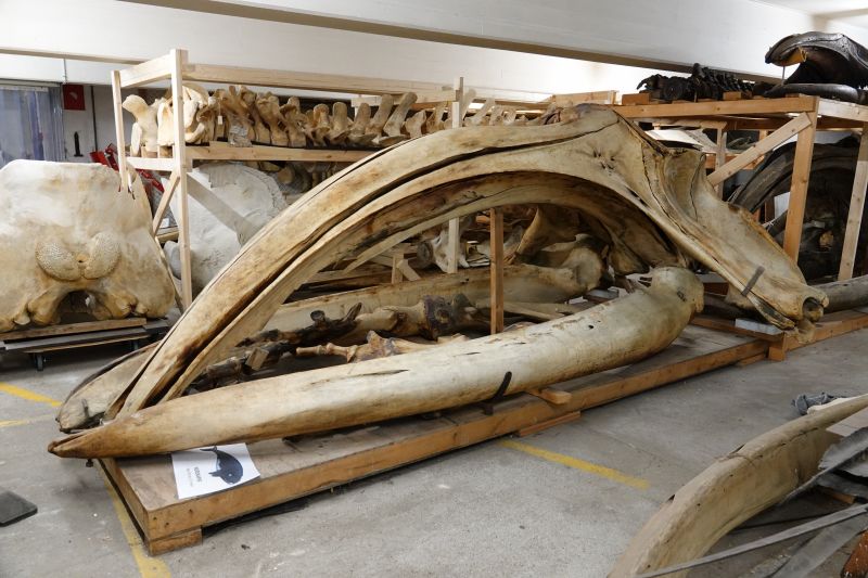 Viewing photos→2019→2019-05-16→33