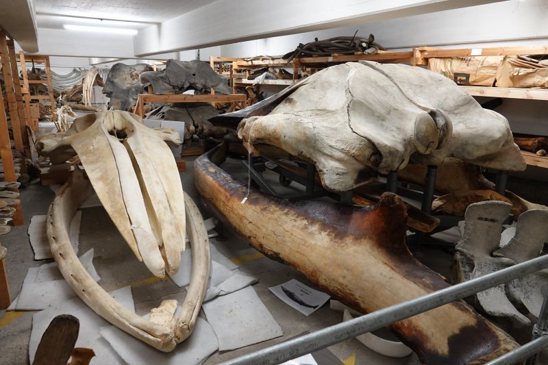 Viewing photos→2019→2019-05-16→36