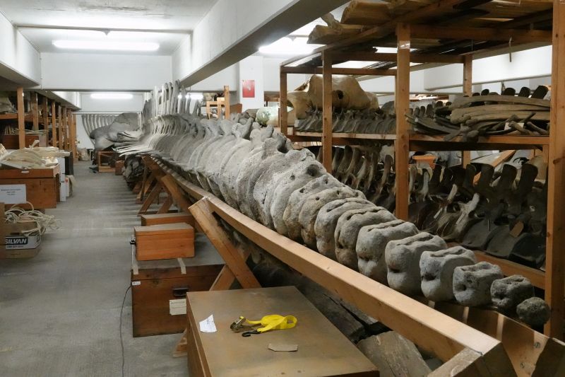 Viewing photos→2019→2019-05-16→37