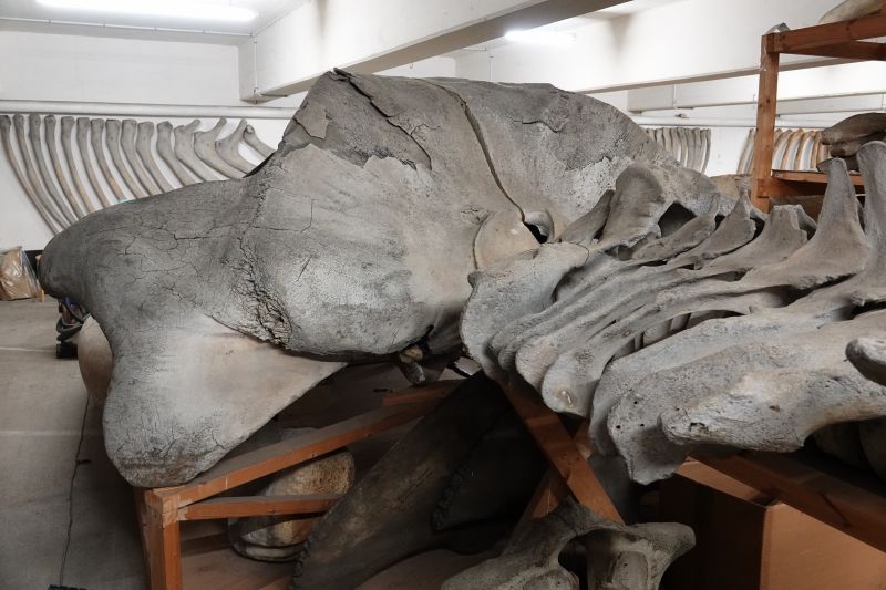 Viewing photos→2019→2019-05-16→40