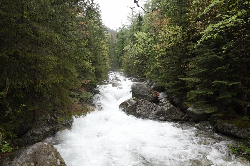 Viewing photos→2019→2019-05-31→001