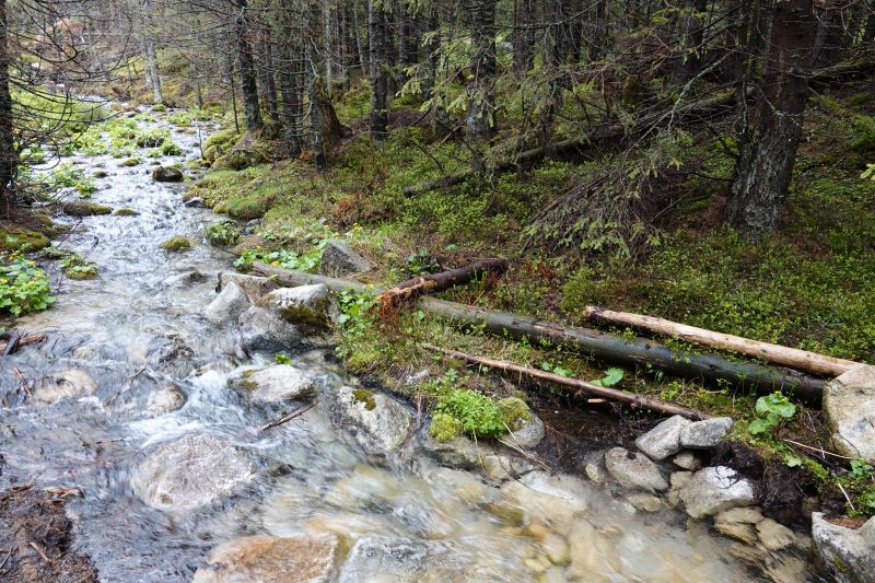 Viewing photos→2019→2019-05-31→004