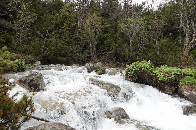 Viewing photos→2019→2019-05-31→038