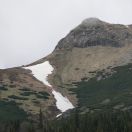 044.jpg - 2019:05:31 12:47:02