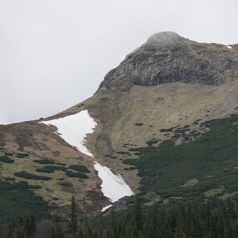 Viewing photos→2019→2019-05-31→044