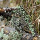 046.jpg - 2019:05:31 12:50:11