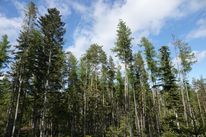 Viewing photos→2019→2019-05-31→054