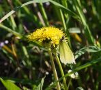 057.jpeg - 2019:05:31 14:26:08