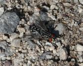 058.jpeg - 2019:05:31 14:28:22