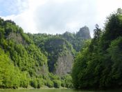 065.jpg - 2019:06:01 08:26:02