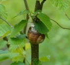 081.jpeg - 2019:06:01 09:18:43