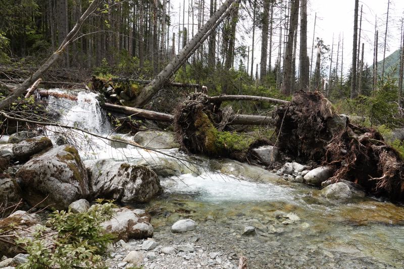 Viewing photos→2019→2019-05-31→106