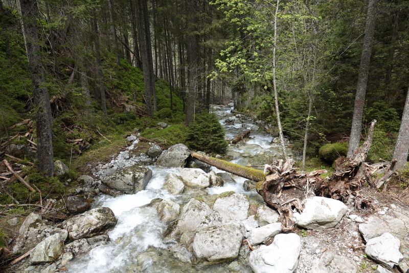 Viewing photos→2019→2019-05-31→107