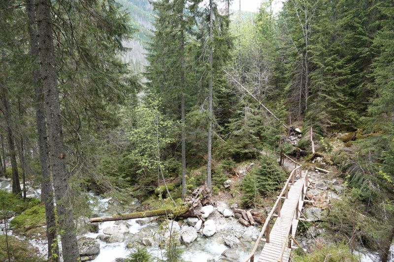 Viewing photos→2019→2019-05-31→109