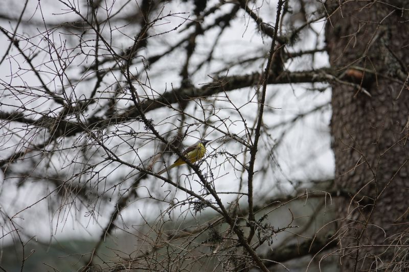 Viewing photos→2019→2019-05-31→111