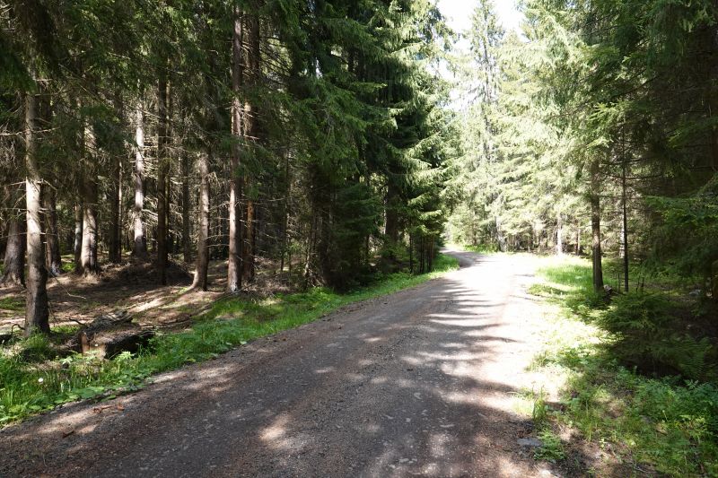 Viewing photos→2019→2019-05-31→125