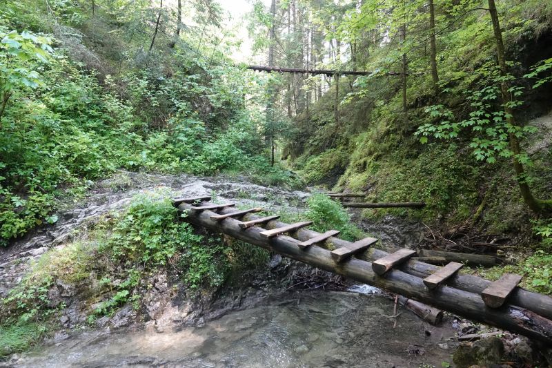 Viewing photos→2019→2019-05-31→136