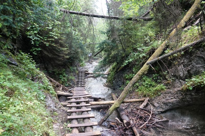 Viewing photos→2019→2019-05-31→140