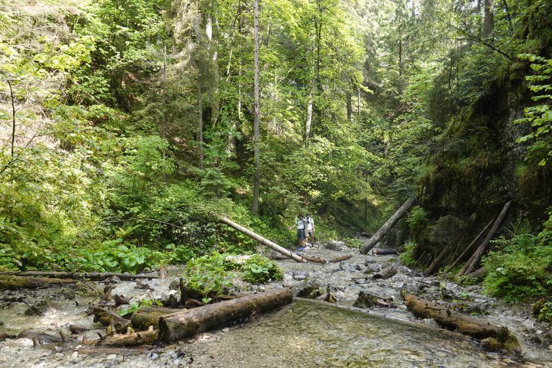 Viewing photos→2019→2019-05-31→146