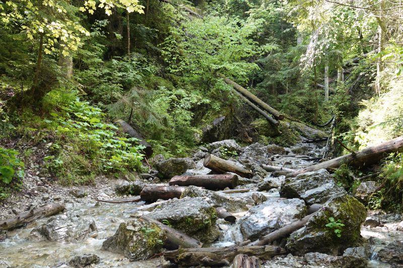 Viewing photos→2019→2019-05-31→147