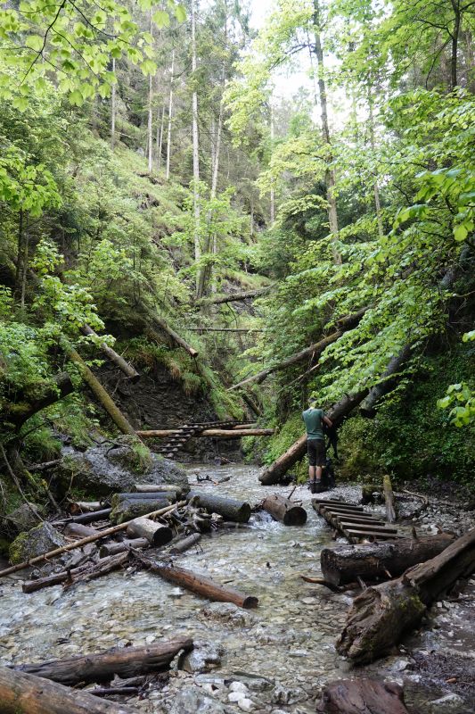 Viewing photos→2019→2019-05-31→149