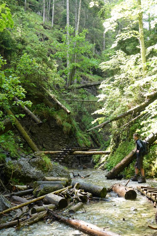 Viewing photos→2019→2019-05-31→151