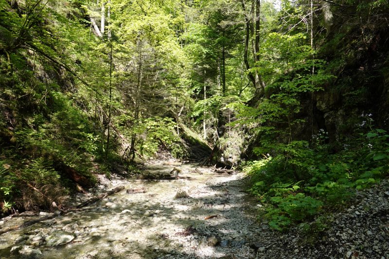 Viewing photos→2019→2019-05-31→155