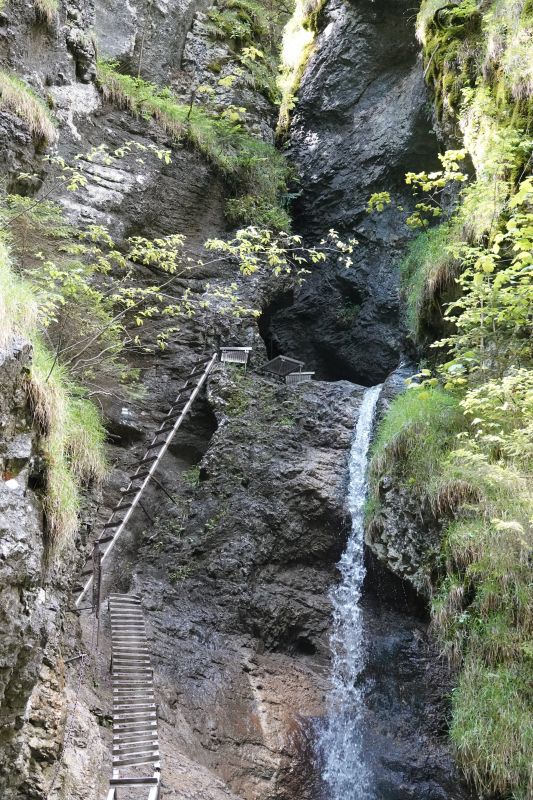 Viewing photos→2019→2019-05-31→159