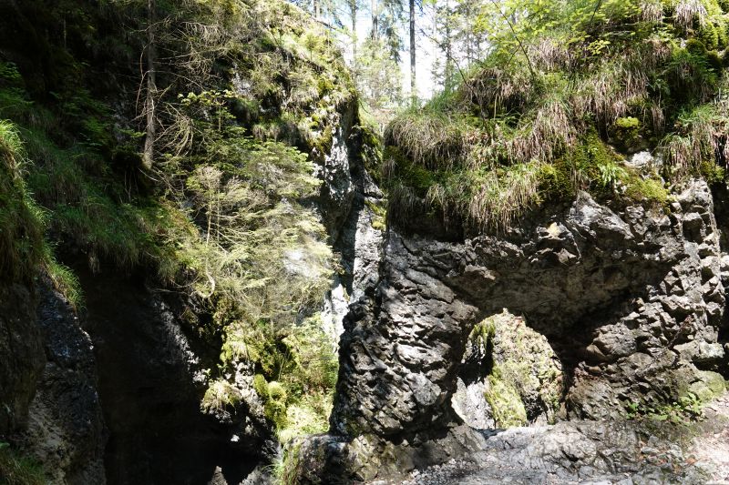 Viewing photos→2019→2019-05-31→169