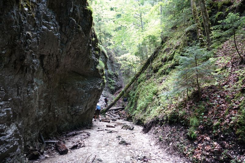 Viewing photos→2019→2019-05-31→173