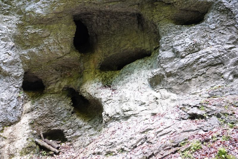 Viewing photos→2019→2019-05-31→175