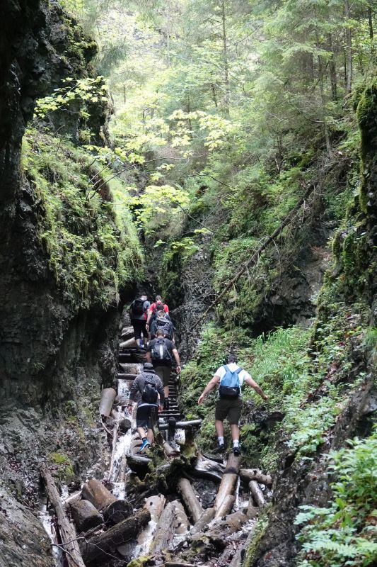 Viewing photos→2019→2019-05-31→177